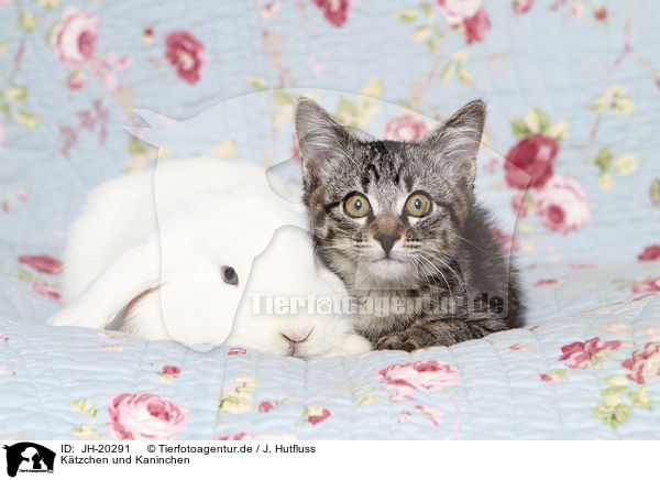 Ktzchen und Kaninchen / JH-20291