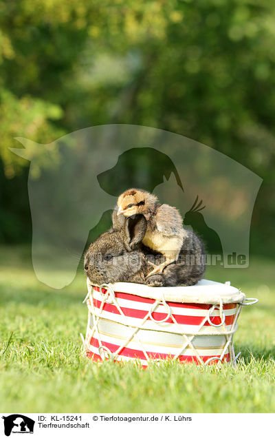 Tierfreundschaft / animal friends / KL-15241