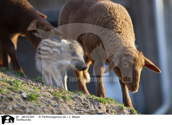 Tierfreunde / JM-05394