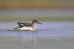 Flussuferlufer