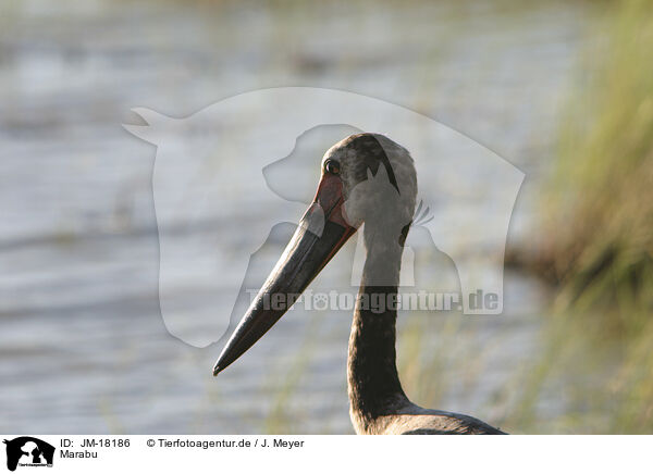 Marabu / JM-18186