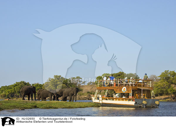 Afrikanische Elefanten und Touristenboot / African Elephants and touristboat / HJ-02650