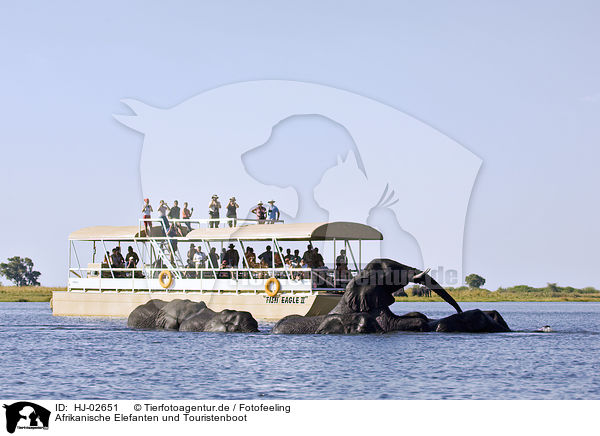 Afrikanische Elefanten und Touristenboot / African Elephants and touristboat / HJ-02651