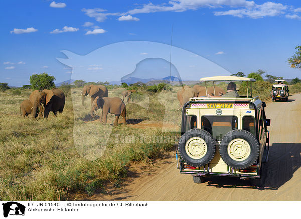 Afrikanische Elefanten / JR-01540
