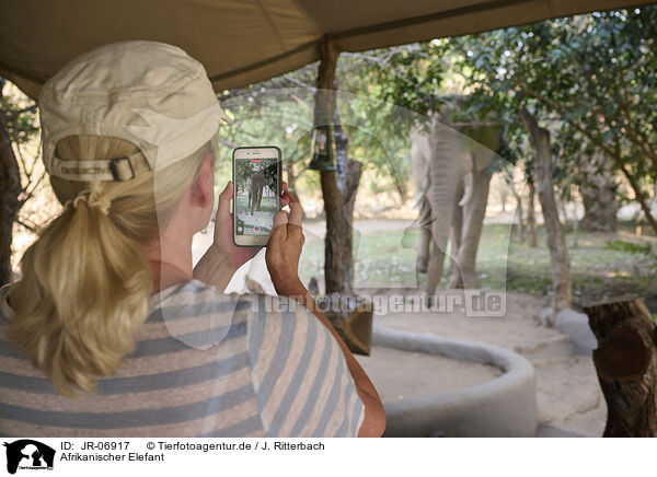 Afrikanischer Elefant / African Elephant / JR-06917