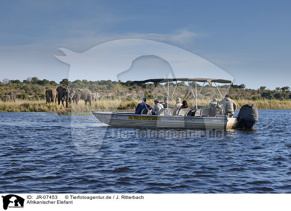 Afrikanischer Elefant / JR-07453