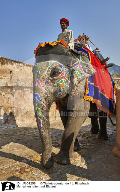 Menschen reiten auf Elefant / JR-04259