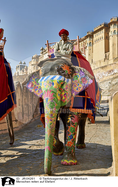 Menschen reiten auf Elefant / People ride Elephant / JR-04261