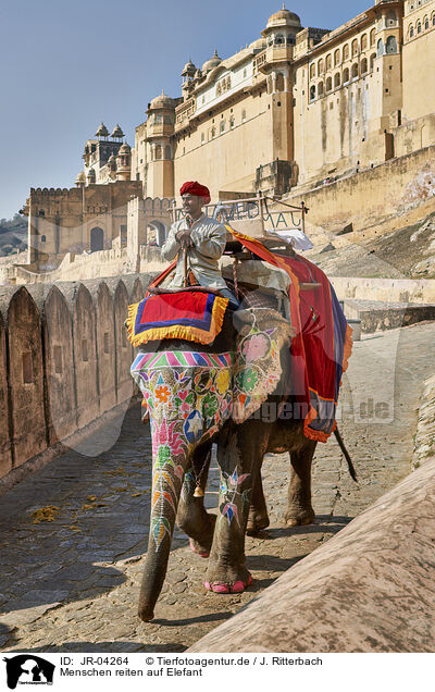 Menschen reiten auf Elefant / JR-04264