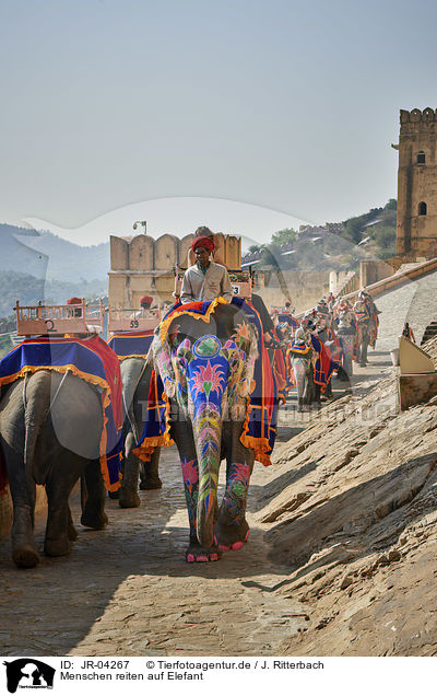 Menschen reiten auf Elefant / JR-04267