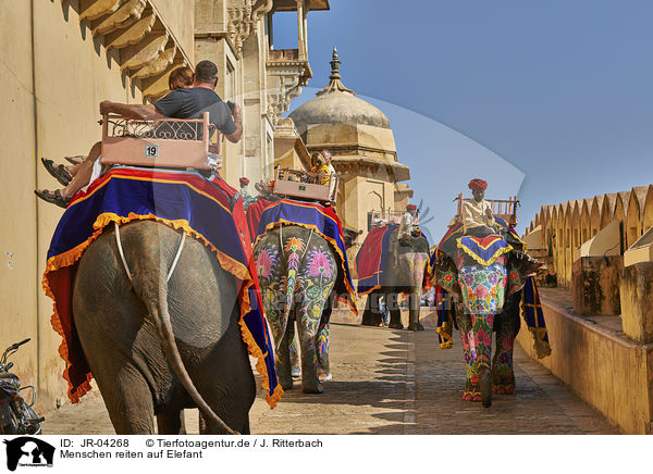 Menschen reiten auf Elefant / JR-04268