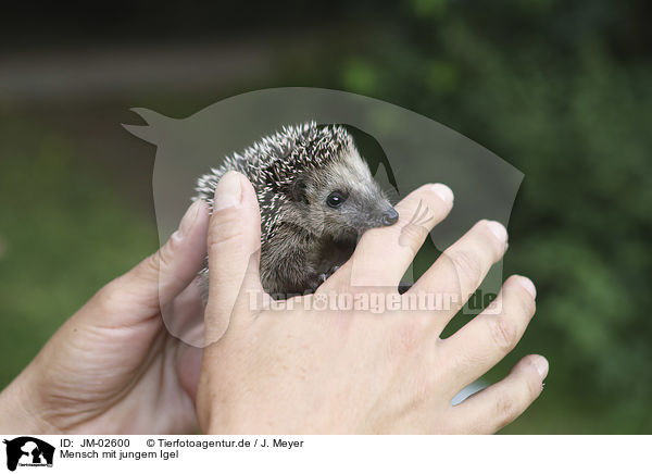 Mensch mit jungem Igel / human with young Hedgehog / JM-02600
