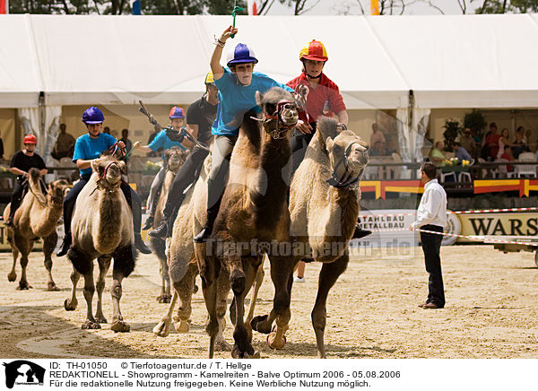 REDAKTIONELL - Showprogramm - Kamelreiten - Balve Optimum 2006 - 05.08.2006 / EDITORIAL - Showprogramm - Kamelreiten - Balve Optimum 2006 - 05.08.2006 / TH-01050