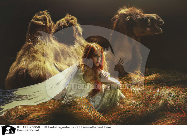 Frau mit Kamel / woman with Camel / CDE-02958
