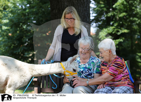 tiergesttzte Therapie / animal-assisted therapy / PM-05858