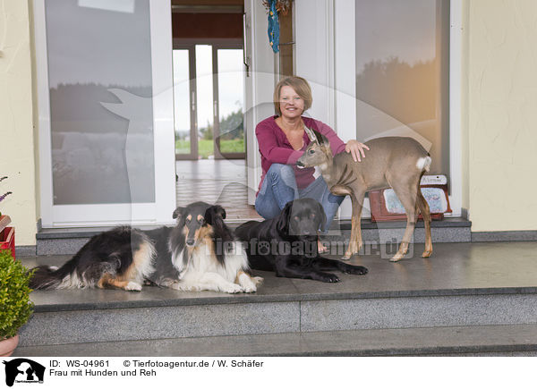 Frau mit Hunden und Reh / woman with dogs and roe deer / WS-04961