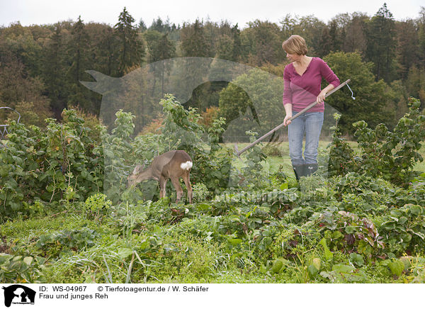 Frau und junges Reh / woman and young roe deer / WS-04967