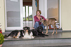 Frau mit Hunden und Reh