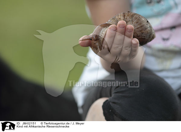 Kind mit Afrikanische Riesenschnecke / Child with African giant snail / JM-02151