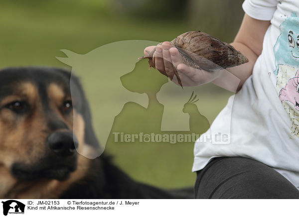 Kind mit Afrikanische Riesenschnecke / Child with African giant snail / JM-02153