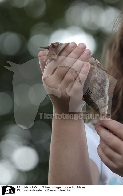 Kind mit Afrikanische Riesenschnecke / Child with African giant snail / JM-02155